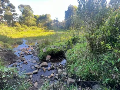 Lote/Terreno com 1 Quarto à venda, 20000m² no , Painel