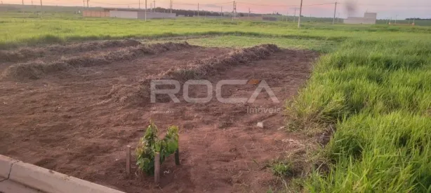 Lote/Terreno à venda, 242m² no Jardins do Porto, São Carlos