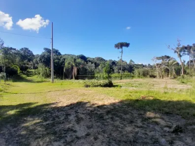 Fazenda/Sítio à venda, 8553m² no Campo das Flores, Tijucas do Sul