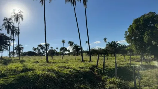 Fazenda/Sítio com 2 Quartos à venda, 1839200m² no Jardim Floresta, Trindade