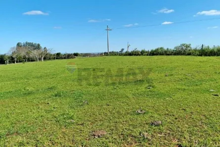 Fazenda/Sítio à venda, 1650000m² no Rio Pardo, Rio Pardo