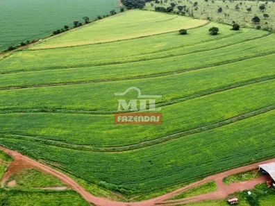 Fazenda/Sítio à venda, 97m² no Centro, Cidade Ocidental