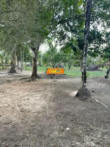Fazenda/Sítio à venda, 1000m² no Área Rural de Porto Velho, Porto Velho