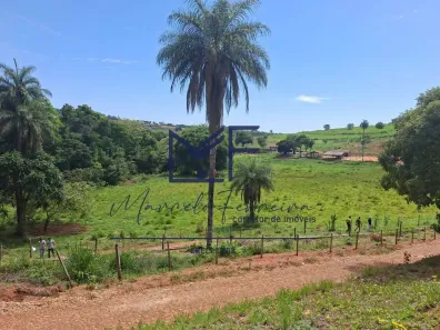 Fazenda/Sítio à venda, 20000m² no , Florestal