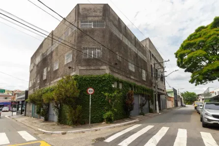 Ponto Comercial com 40 Quartos para alugar, 1000m² no Parque São Luís, São Paulo