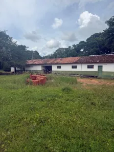 Fazenda/Sítio com 3 Quartos à venda, 234m² no , Dianópolis