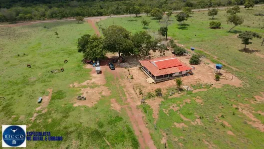 Fazenda/Sítio com 3 Quartos à venda, 90m² no Setor Central, Araguaçu