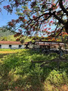 Fazenda/Sítio com 3 Quartos à venda, 150000m² no Jabaquara, Anchieta