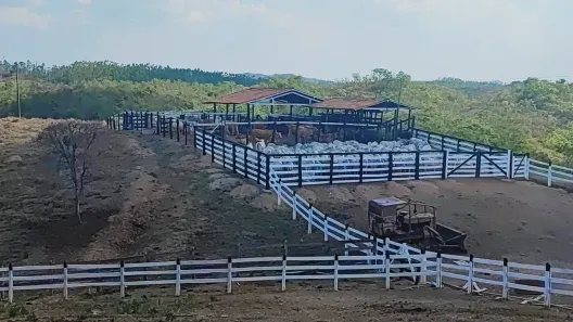 Fazenda/Sítio à venda, 1548800m² no , Padre Bernardo