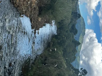 Lote/Terreno à venda, 32000m² no , Urubici