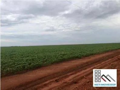 Fazenda/Sítio com 4 Quartos à venda, 450m² no Menino Deus, Lucas do Rio Verde