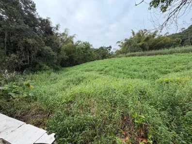 Lote/Terreno à venda, 38557m² no Floresta, Joinville