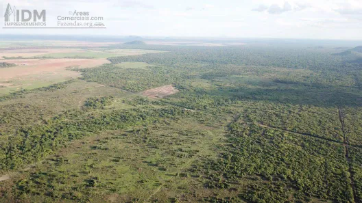 Fazenda/Sítio com 5 Quartos à venda, 4236m² no , Santa Terezinha