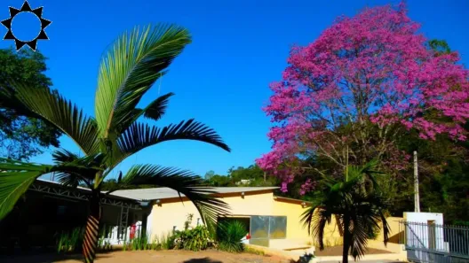 Fazenda/Sítio com 3 Quartos à venda, 400m² no Jardim Suíça Paulista, São Roque