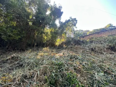 Lote/Terreno à venda, 1000m² no Encanto, Paty do Alferes