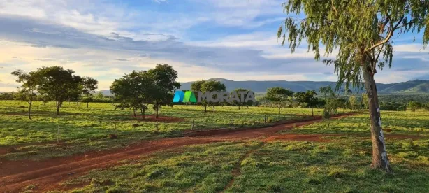 Fazenda/Sítio com 3 Quartos à venda, 1266m² no , Engenheiro Navarro