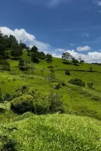 Lote/Terreno à venda, 193600m² no Bairro do Paiol Velho, São Bento do Sapucaí