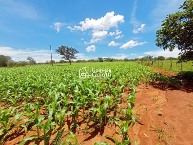 Fazenda/Sítio à venda, 96800m² no Edilândia, Cocalzinho de Goiás