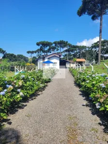 Fazenda/Sítio com 3 Quartos à venda, 7569m² no Centro, Campo Alegre