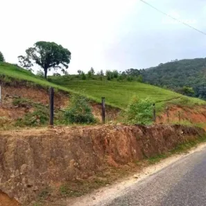 Fazenda/Sítio à venda, 25000m² no Gaspar Alto, Gaspar