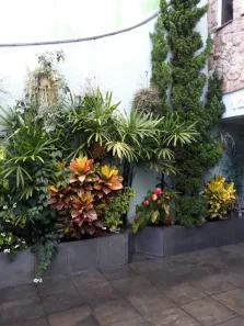 Sobrado com 3 Quartos à venda, 246m² no Olímpico, São Caetano do Sul