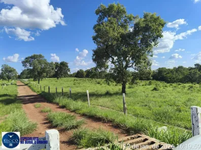 Fazenda/Sítio com 3 Quartos à venda, 504m² no Setor Central, Araguaçu
