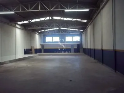 Galpão/Depósito/Armazém à venda, 600m² no Cidade Centenário, São Paulo