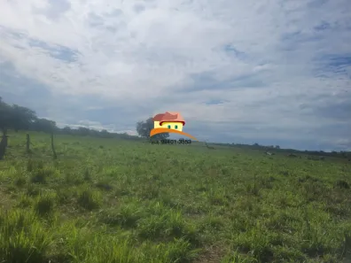 Fazenda/Sítio à venda, 16940000m² no , Santa Maria do Tocantins