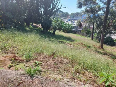Lote/Terreno à venda, 4589m² no Granja Viana, Cotia