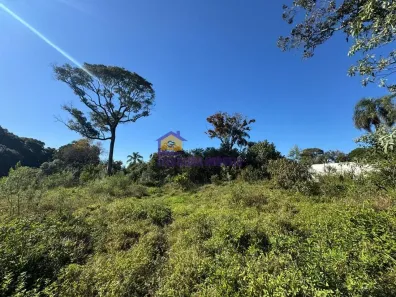 Lote/Terreno à venda, 1600m² no Curral, Ibiúna