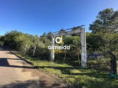Lote/Terreno à venda, 5000m² no Cerrito, Santa Maria