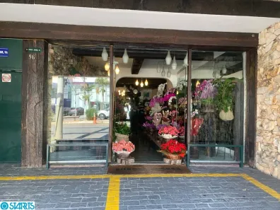 Imóvel Comercial com 3 Quartos à venda, 307m² no Jardim Paulistano, São Paulo