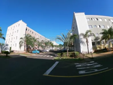 Apartamento com 2 Quartos à venda, 49m² no Parque das Flores II, São José do Rio Preto