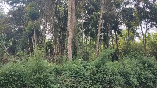 Lote/Terreno à venda, 1000m² no Chácara Recanto Verde, Cotia