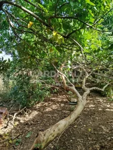 Lote/Terreno à venda, 372m² no Vila Faria, São Carlos