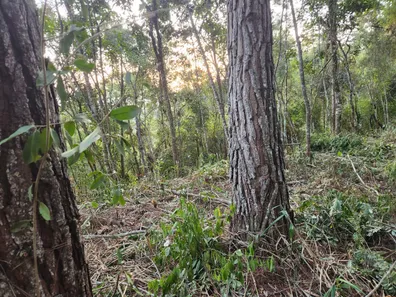 Lote/Terreno à venda, 2540m² no Granja Mafra, Teresópolis