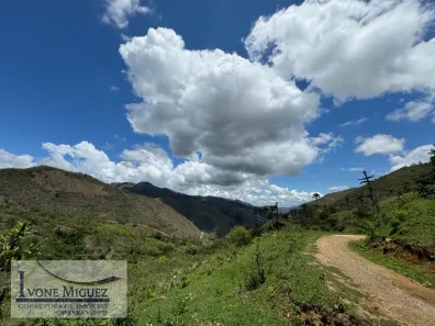 Lote/Terreno à venda, 51118m² no Barão de Javary, Miguel Pereira
