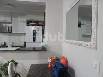 Apartamento com 2 Quartos para alugar, 56m² no Jardim Nova Europa, Campinas