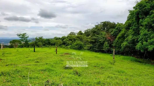 Fazenda/Sítio à venda, 610000m² no , Sacramento