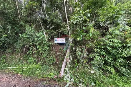 Lote/Terreno à venda, 1000m² no Pirucaia, Mairiporã