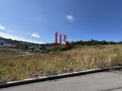 Lote/Terreno à venda, 303m² no Nossa Senhora das Graças, Caxias do Sul