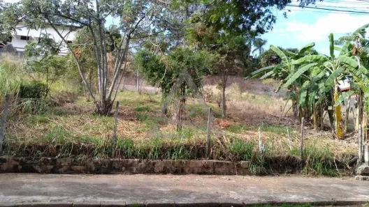 Lote/Terreno à venda, 336m² no Jardim das Paineiras, Campinas