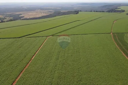 Fazenda/Sítio com 4 Quartos à venda, 32560000m² no , João Pinheiro