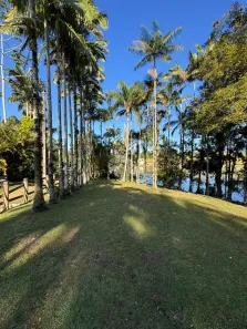Fazenda/Sítio à venda, 180m² no Moura, Canelinha