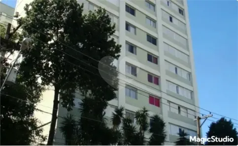 Apartamento com 3 Quartos à venda, 70m² no Vila Guilherme, São Paulo