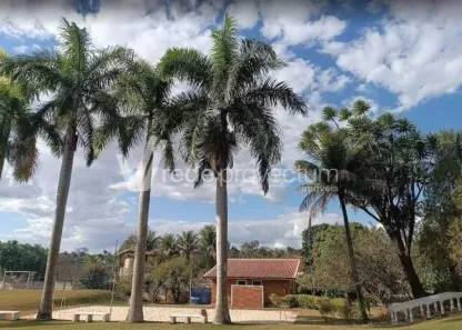 Fazenda/Sítio com 3 Quartos à venda, 180m² no Jardim Monte Belo, Campinas