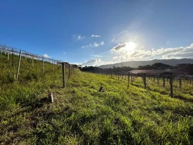 Fazenda/Sítio com 1 Quarto à venda, 70000m² no Tapera, Gramado