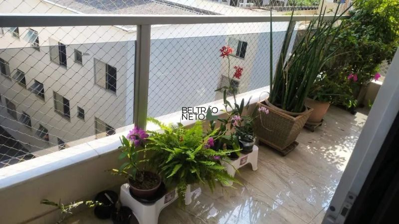 Foto 61