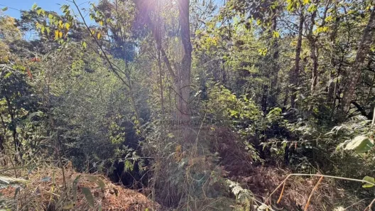 Lote/Terreno à venda, 3255m² no Solar das Palmeiras (Melo Viana), Esmeraldas