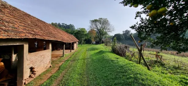 Imóvel Comercial à venda, 39331m² no Fazenda São Borja, São Leopoldo